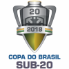 Бразилия - Кубок Бразилии U20