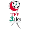 Турция - Третья лига - Группа 4