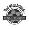 Сокол Палковице