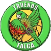 Труэнос Де Талька