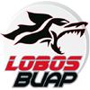 Lobos Buap Premier width=