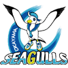Okayama Seagulls