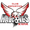 CD Halcones de Rayón