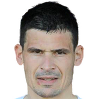 Branko Zigic