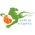 Барсы