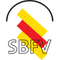 Turkischer SV Singen