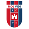 МОЛ Фехервар U19